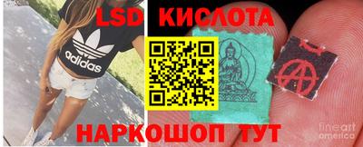 сатива Обнинск